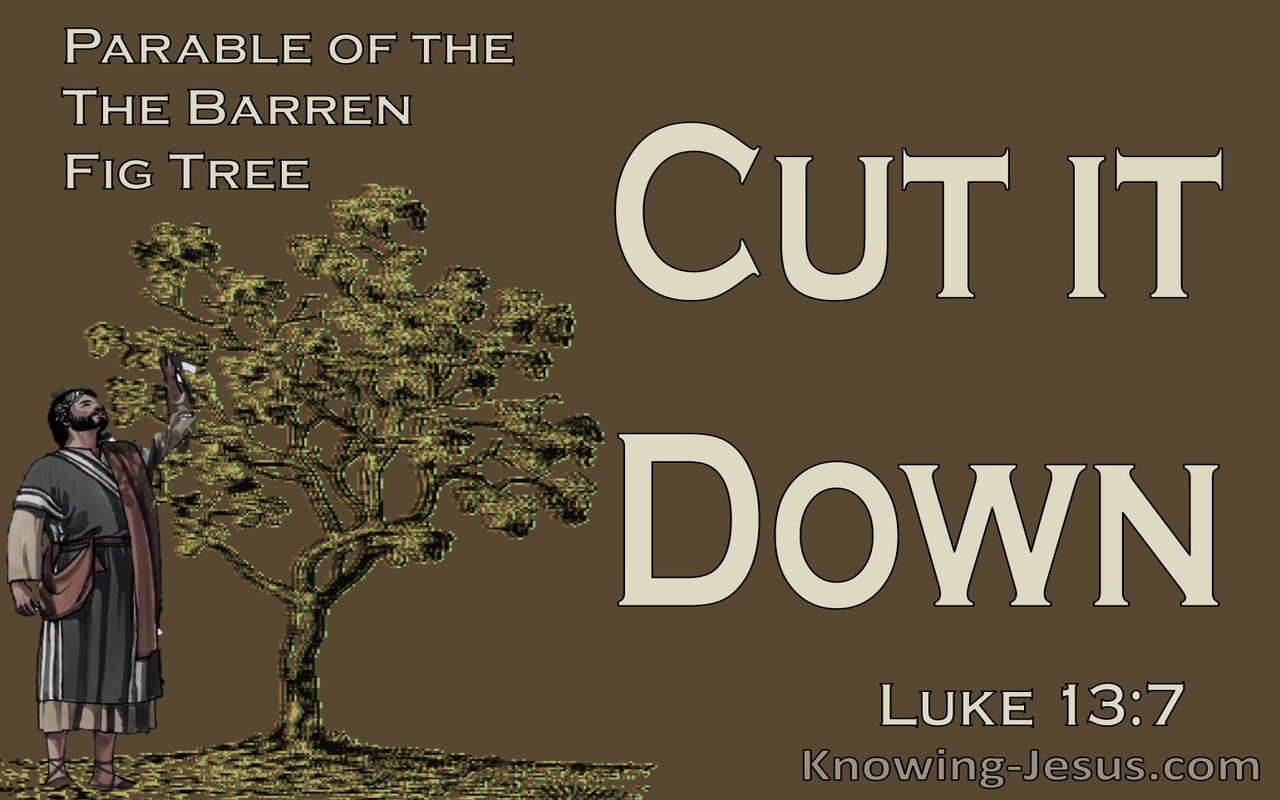 Luke 13:7 Parable Of The The Barren Fig Tree (brown)